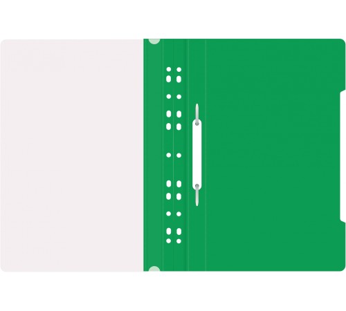 Папка-скоросшиватель Бюрократ PS-P20GRN A4 прозрач.верх.лист боков.перф. пластик зеленый