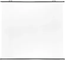 Экран Cactus 180x180см Map type CS-PSRM-180x180-BK 1:1 настенно-потолочный рулонный черный