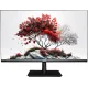 Монитор RDW Computers 27" RDW2701K черный IPS 5ms 16:9 HDMI M/M матовая 1000:1 250cd 178гр/178гр 1920x1080 75Hz VGA DP FHD (RUS)