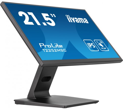 Монитор Iiyama 21.5" ProLite T2252MSC-B2 черный IPS LED 5ms 16:9 HDMI M/M глянцевая 1000:1 250cd 178гр/178гр 1920x1080 60Hz DP FHD Touch 4.5кг
