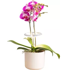 Светильник фито Cactus GARDEN светод. 7.5Вт цв.св.:белый (CS-LED-ORCHID)