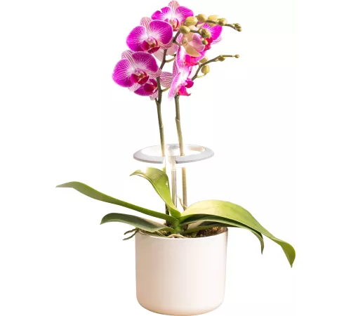 Светильник фито Cactus GARDEN светод. 7.5Вт цв.св.:белый (CS-LED-ORCHID)