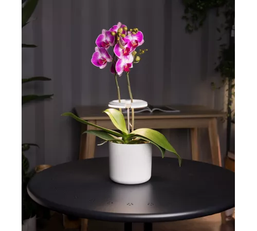 Светильник фито Cactus GARDEN светод. 7.5Вт цв.св.:белый (CS-LED-ORCHID)