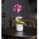 Светильник фито Cactus GARDEN светод. 7.5Вт цв.св.:белый (CS-LED-ORCHID)