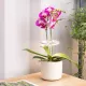 Светильник фито Cactus GARDEN светод. 7.5Вт цв.св.:белый (CS-LED-ORCHID)