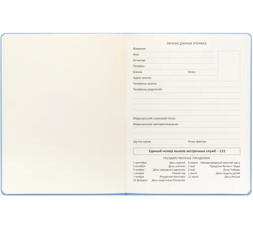 Дневник школьный Deli CN150-YELL желтый 48л. универсальный обл.тверд. мел.карт.