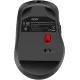 Мышь Acer OMR310 черный оптическая 1600dpi беспров. BT/Radio USB (ZL.MCECC.031)
