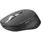 Мышь Acer OMR310 черный оптическая 1600dpi беспров. BT/Radio USB (ZL.MCECC.031)