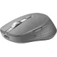 Мышь Acer OMR310 темно-серый оптическая 1600dpi беспров. BT/Radio USB (ZL.MCECC.032)