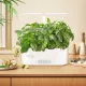 Кашпо Cactus GARDEN 4.7л белый (CS-SMARTPOT-11)