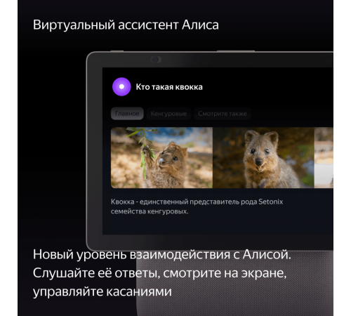 Умная колонка Яндекс Станция Дуо Макс с Алисой, с Zigbee, 60Вт, бежевый, YNDX-00055 Умная колонка Яндекс Станция Дуо Макс с Алисой, с Zigbee, 60Вт, бежевый, YNDX-00055