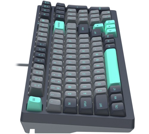 Клавиатура A4Tech Fstyler FS300 механическая черный/серый USB for gamer LED (FS300 PANDA ROCK) Клавиатура A4Tech Fstyler FS300 механическая черный/серый USB for gamer LED (FS300 PANDA ROCK)