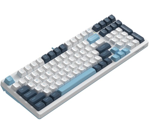 Клавиатура A4Tech Fstyler FS300 механическая белый/синий USB for gamer LED (FS300 PANDA SNOWBOARDING)