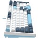 Клавиатура A4Tech Fstyler FS300 механическая белый/синий USB for gamer LED (FS300 PANDA SNOWBOARDING)