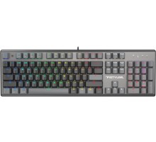 Клавиатура A4Tech Fstyler FS100 Neon механическая черный USB for gamer LED (FS100)