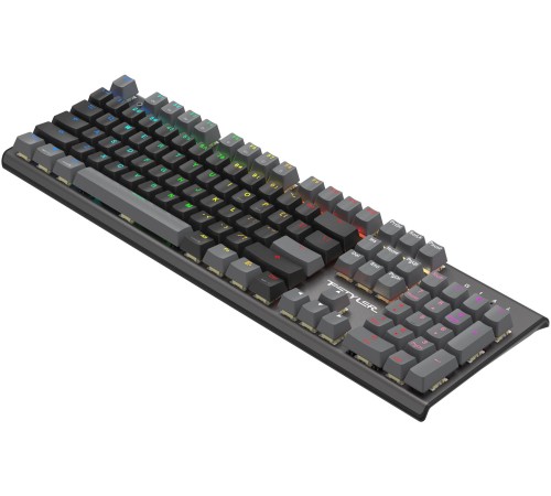Клавиатура A4Tech Fstyler FS100 Neon механическая черный USB for gamer LED (FS100) Клавиатура A4Tech Fstyler FS100 Neon механическая черный USB for gamer LED (FS100)