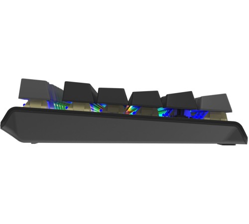 Клавиатура A4Tech Fstyler FS100 Neon механическая черный USB for gamer LED (FS100) Клавиатура A4Tech Fstyler FS100 Neon механическая черный USB for gamer LED (FS100)