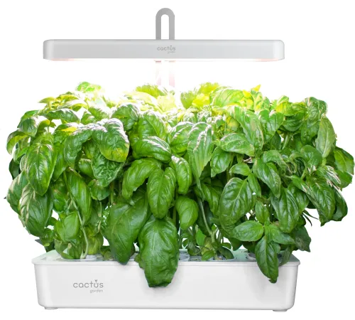 Кашпо Cactus Garden CS-LEDPOT-10 2.0л белый Кашпо Cactus Garden CS-LEDPOT-10 2.0л белый