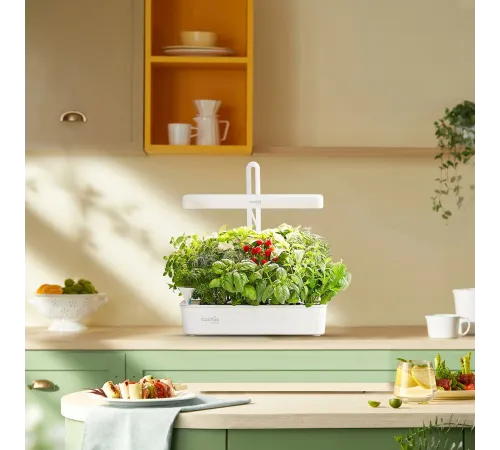 Кашпо Cactus Garden CS-LEDPOT-10 2.0л белый Кашпо Cactus Garden CS-LEDPOT-10 2.0л белый