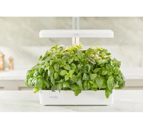 Кашпо Cactus Garden CS-LEDPOT-10 2.0л белый Кашпо Cactus Garden CS-LEDPOT-10 2.0л белый