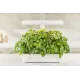 Кашпо Cactus Garden CS-LEDPOT-10 2.0л белый