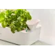 Кашпо Cactus Garden CS-LEDPOT-10 2.0л белый