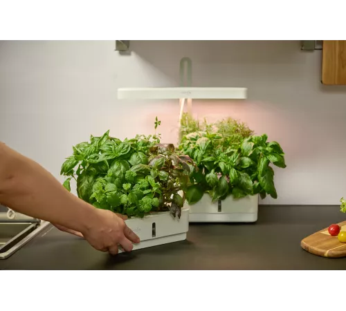 Кашпо Cactus GARDEN 3.0л белый (CS-LEDPOT-08)