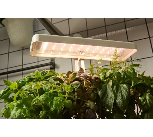 Кашпо Cactus GARDEN 3.0л белый (CS-LEDPOT-08)