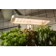 Кашпо Cactus GARDEN 3.0л белый (CS-LEDPOT-08)