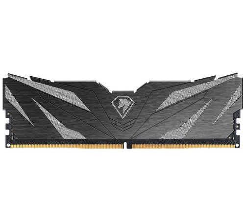 Память DDR5 16GB 5600MHz Netac NTSWD5P56SP-16K Shadow II RTL PC5-44800 CL46 UDIMM 288-pin 1.1В Intel Ret
