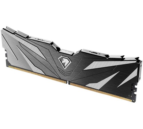 Память DDR5 16GB 5600MHz Netac NTSWD5P56SP-16K Shadow II RTL PC5-44800 CL46 UDIMM 288-pin 1.1В Intel Ret