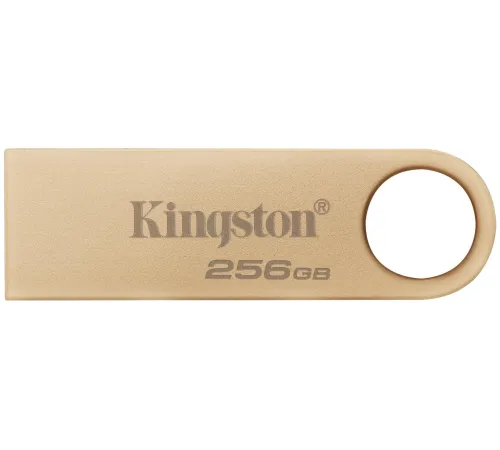 Флеш Диск Kingston 256GB DataTraveler SE9 DTSE9G3/256GB USB3.0 серебристый