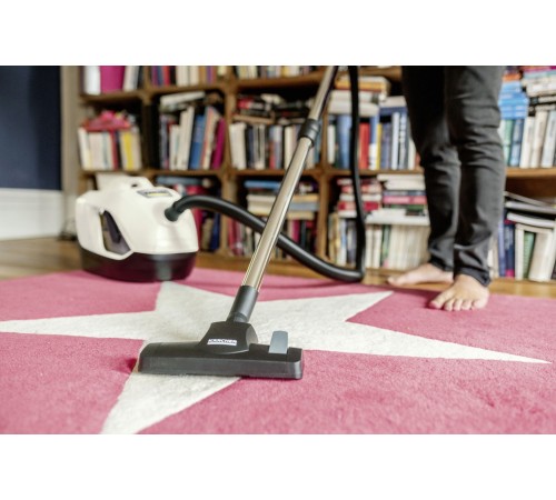 Karcher DS 6 Premium Plus (White) Пылесос [1.195-252.0]