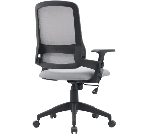 Кресло Cactus CS-MC313-BKGY черный/серый сетка/ткань низк.спин. крестов. пластик пластик черный Кресло Cactus CS-MC313-BKGY черный/серый сетка/ткань низк.спин. крестов. пластик пластик черный