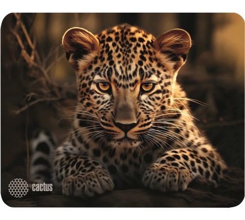 Коврик для мыши Cactus Leopard 250x200x3мм (CS-MP-D06S) Коврик для мыши Cactus Leopard 250x200x3мм (CS-MP-D06S)