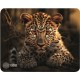 Коврик для мыши Cactus Leopard 250x200x3мм (CS-MP-D06S)