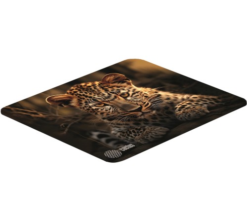 Коврик для мыши Cactus Leopard 250x200x3мм (CS-MP-D06S) Коврик для мыши Cactus Leopard 250x200x3мм (CS-MP-D06S)