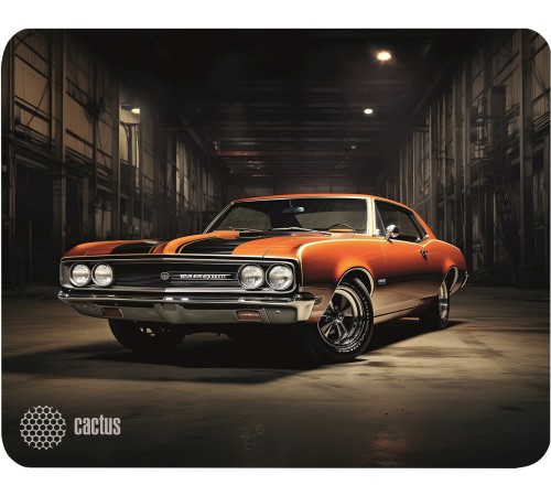 Коврик для мыши Cactus Orange Car 300x250x2мм (CS-MP-P06M) Коврик для мыши Cactus Orange Car 300x250x2мм (CS-MP-P06M)