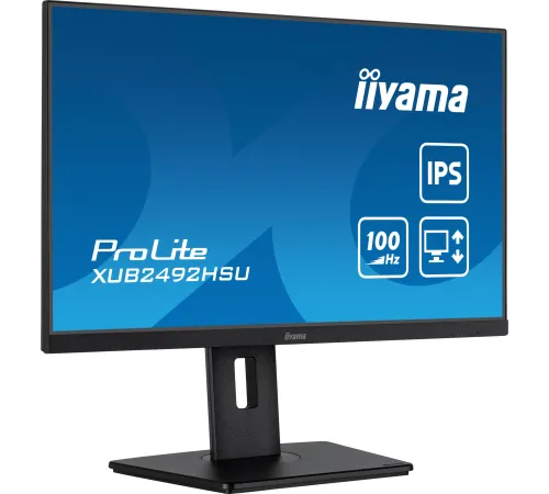 Монитор Iiyama 23.8" ProLite XUB2492HSU-B6 черный IPS LED 0.4ms 16:9 HDMI M/M матовая HAS Piv 1000:1 250cd 178гр/178гр 1920x1080 100Hz DP FHD USB 4.9кг
