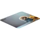 Коврик для мыши Cactus Owl gray 300x250x3мм (CS-MP-D12M)