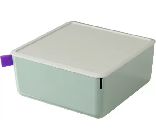 Короб для хранения Deli XDM11green 1отд. 212x212x93.5мм зеленый/серый пластик