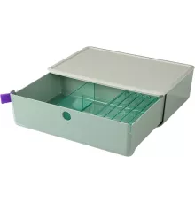 Короб для хранения Deli XDM31green 1 выдвижной ящик 250x220x125мм зеленый пластик