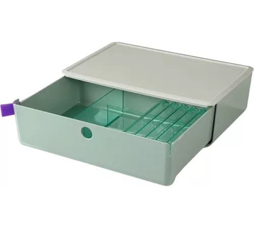 Короб для хранения Deli XDM31green 1 выдвижной ящик 250x220x125мм зеленый пластик