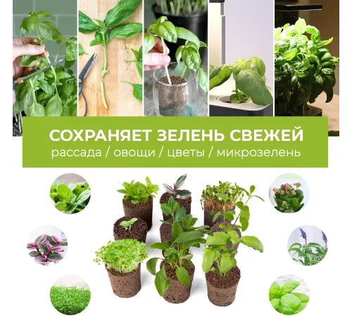 Набор питательных губок Cactus CS-SPONGE-11 для проращивания для CS-LEDPOT-11/SMARTPOT-11 (упак.:11шт) пакет