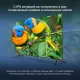 Телевизор LED Hyundai 55" H-LED55BU7100 Frameless Metal серый 4K Ultra HD 60Hz MEMC DVB-T DVB-T2 DVB-C DVB-S DVB-S2 USB WiFi Smart TV