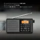 Радиоприемник портативный Hyundai H-PSR115 черный 2.0 microSD