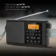Радиоприемник портативный Hyundai H-PSR115 черный 2.0 microSD