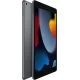 Планшет Apple iPad 2021 A2602 A13 Bionic 6С ROM64Gb 10.2" IPS 2160x1620 iOS серый космос 8Mpix 12Mpix BT WiFi 10hr
