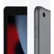 Планшет Apple iPad 2021 A2602 A13 Bionic 6С ROM64Gb 10.2" IPS 2160x1620 iOS серый космос 8Mpix 12Mpix BT WiFi 10hr