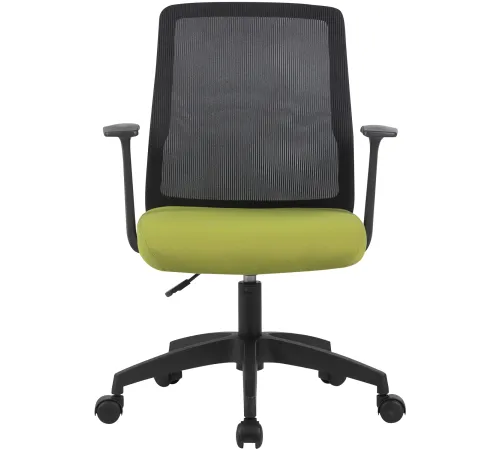 Кресло Cactus CS-MC222-BKGN черный сиденье салатовый сетка/ткань низк.спин. крестов. пластик пластик черный Кресло Cactus CS-MC222-BKGN черный сиденье салатовый сетка/ткань низк.спин. крестов. пластик пластик черный